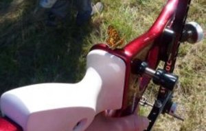 Tous dans les champs